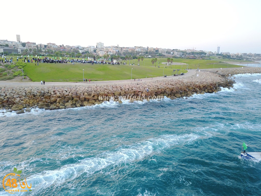 iste3rad sayaden yaffa (4).JPG